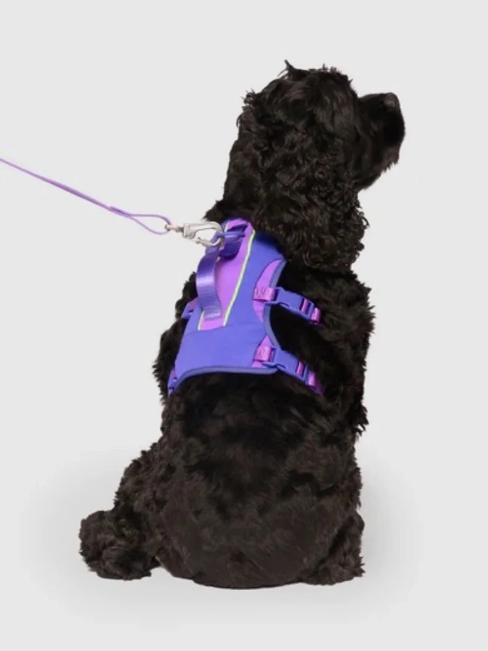 NWT Max Chill Cooling Harness - Canada Pooch